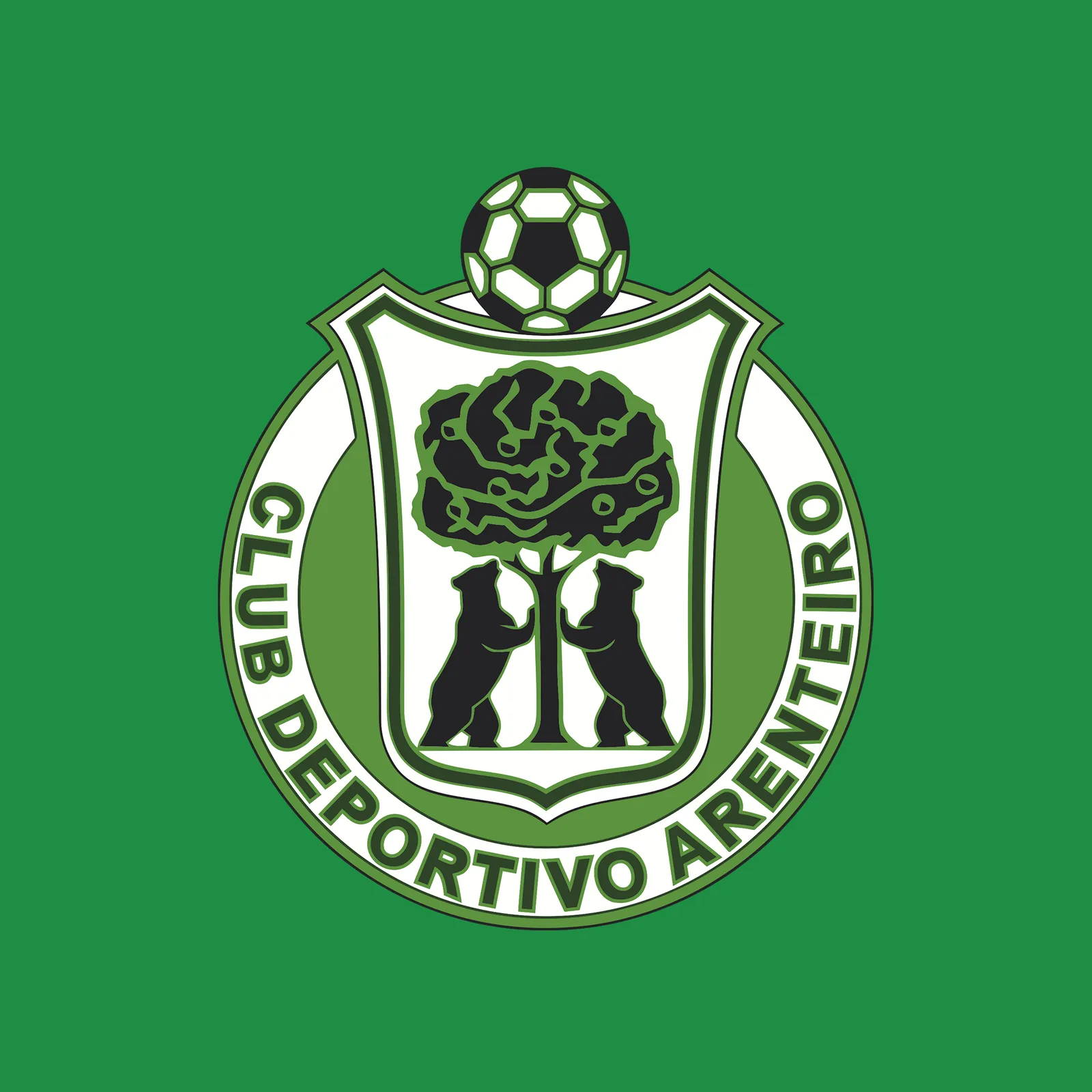 CD Arenteiro