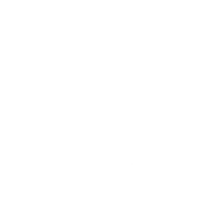 aston villa
